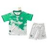 Maglia ufficiale Palmeiras Special Edition 2024 Bianca per Bambino